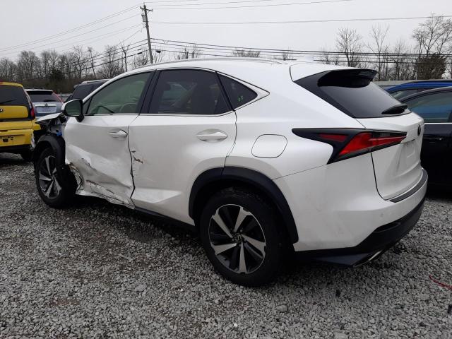 JTJBARBZ9K2189273 - 2019 LEXUS NX 300 BASE Ağ foto 2