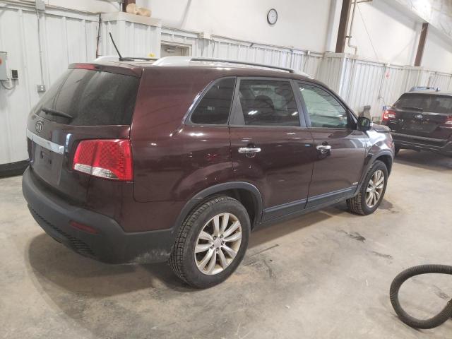 5XYKTDA26BG066587 - 2011 KIA SORENTO BASE MAROON photo 3