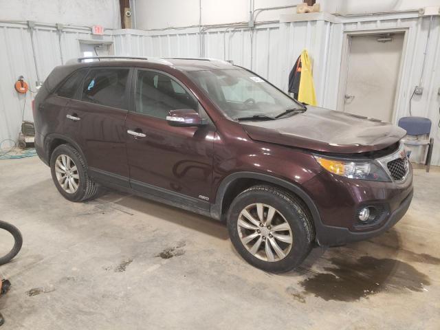 5XYKTDA26BG066587 - 2011 KIA SORENTO BASE MAROON photo 4