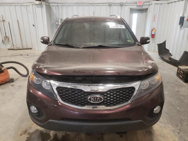 5XYKTDA26BG066587 - 2011 KIA SORENTO BASE MAROON photo 5