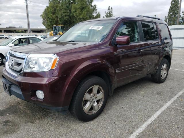 5FNYF3H72BB039181 - 2011 HONDA PILOT EXLN BURGUNDY photo 1