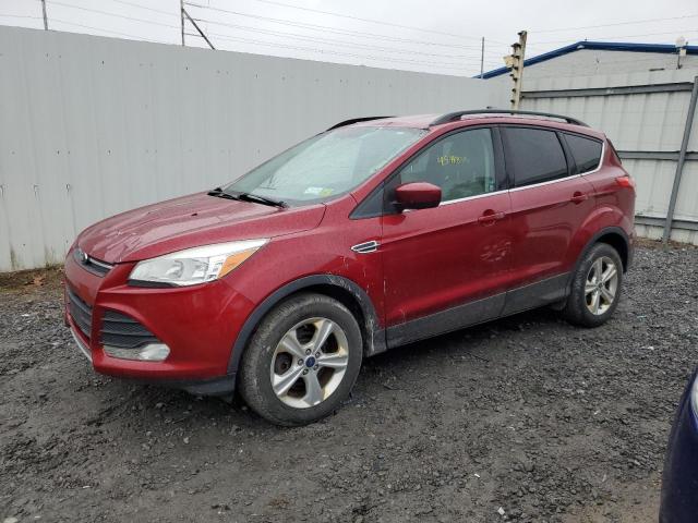 2014 FORD ESCAPE SE, 