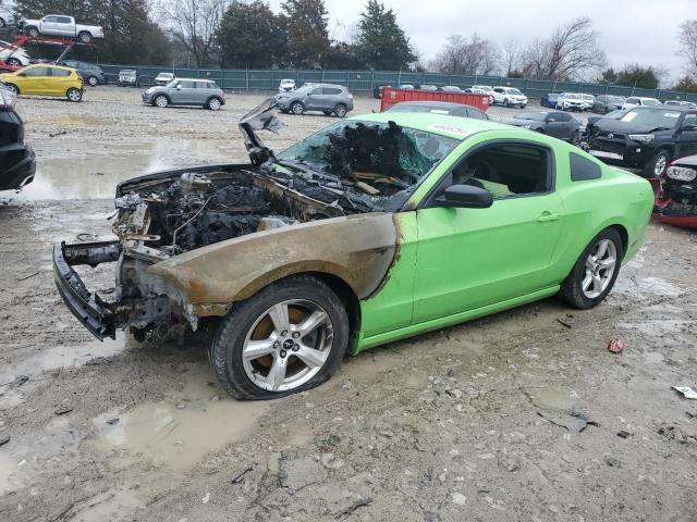 1ZVBP8AM4E5269291 - 2014 FORD MUSTANG GREEN photo 1