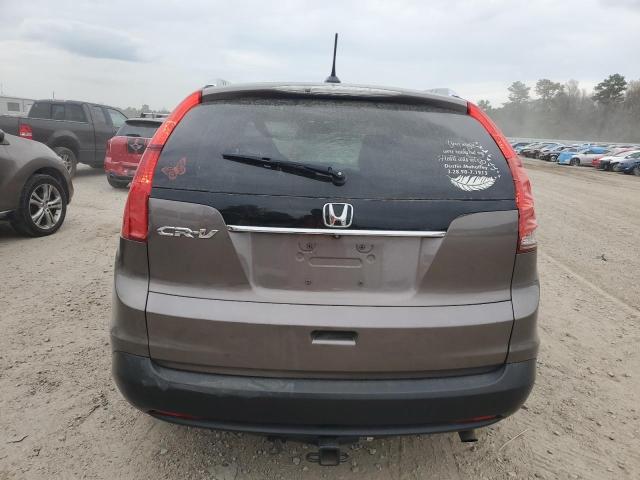 5J6RM3H76EL006061 - 2014 HONDA CR-V EXL TAN photo 6