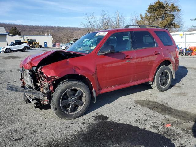 2009 FORD ESCAPE XLT, 