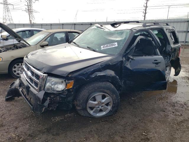 2010 FORD ESCAPE XLT, 