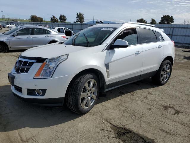 3GYFNEEY6BS564331 - 2011 CADILLAC SRX PERFORMANCE COLLECTION Blanc photo 1