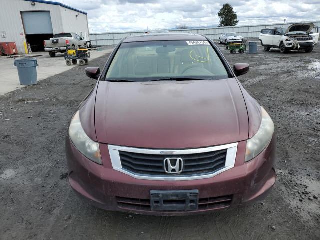 JHMCP26818C063036 - 2008 HONDA ACCORD EXL BURGUNDY photo 5