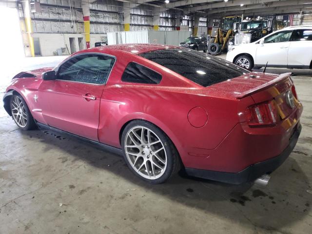 1ZVBP8AM6B5152355 - 2011 FORD MUSTANG RED photo 2