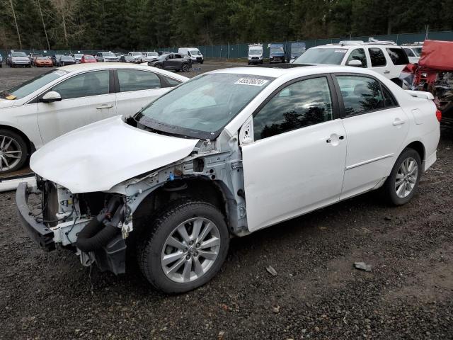 2T1BU4EE5AC429358 - 2010 TOYOTA COROLLA BASE WHITE photo 1