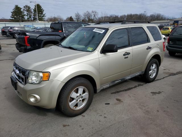 2010 FORD ESCAPE XLT, 