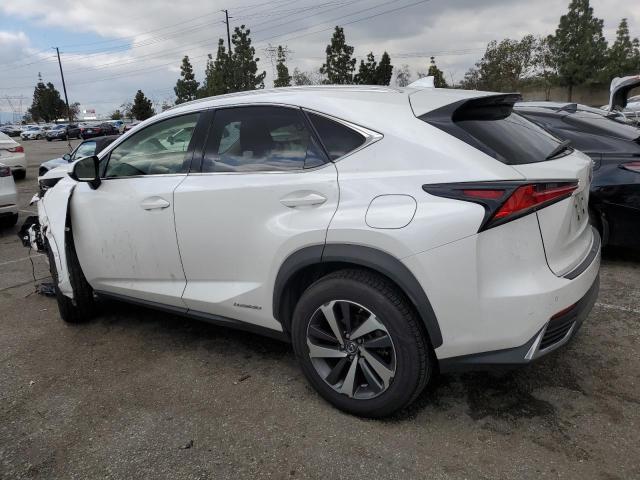 JTJBJRBZXJ2081811 - 2018 LEXUS NX 300H WHITE photo 2