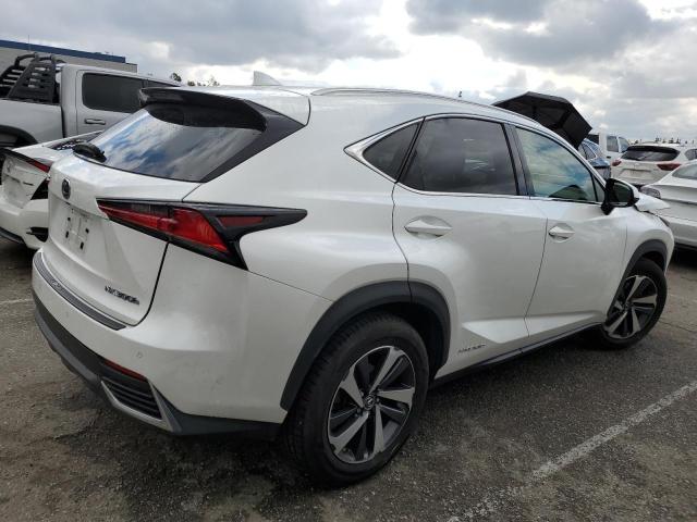 JTJBJRBZXJ2081811 - 2018 LEXUS NX 300H WHITE photo 3