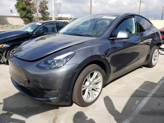 2023 TESLA MODEL Y, 