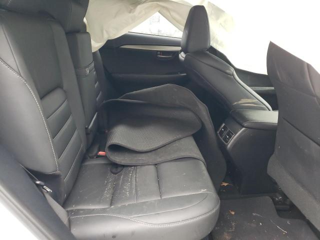 JTJSARBZ1M5032564 - 2021 LEXUS NX 300 BASE Biały zdjęcie 10