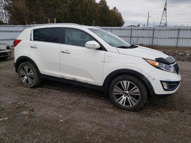 KNDPCCAC6G7867503 - 2016 KIA SPORTAGE EX WHITE photo 4