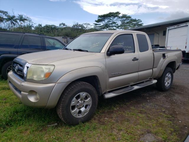 5TETU62N25Z082379 - 2005 TOYOTA TACOMA PRERUNNER ACCESS CAB GOLD photo 1