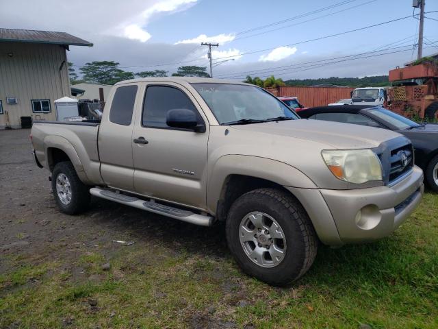 5TETU62N25Z082379 - 2005 TOYOTA TACOMA PRERUNNER ACCESS CAB GOLD photo 4