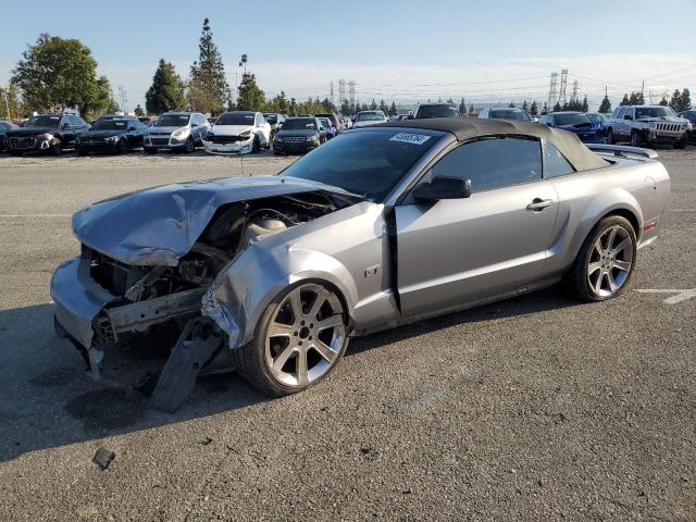 1ZVHT85H765196759 - 2006 FORD MUSTANG GT SILVER photo 1