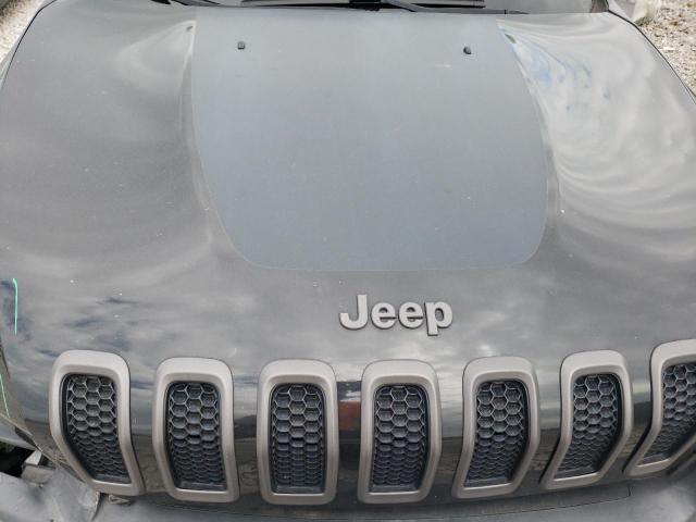 1C4PJMBS1EW172723 - 2014 JEEP CHEROKEE TRAILHAWK 黑色 照片 12