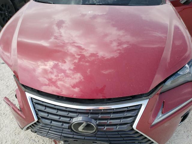 JTJYARBZ5K2135558 - 2019 LEXUS NX 300 BASE Bordo foto 12