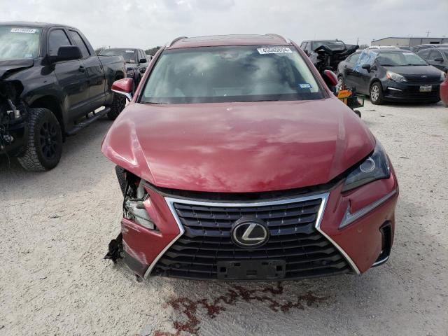 JTJYARBZ5K2135558 - 2019 LEXUS NX 300 BASE Bordo foto 5