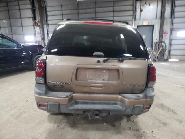 1GNDT13S332323261 - 2003 CHEVROLET TRAILBLAZE BROWN photo 6