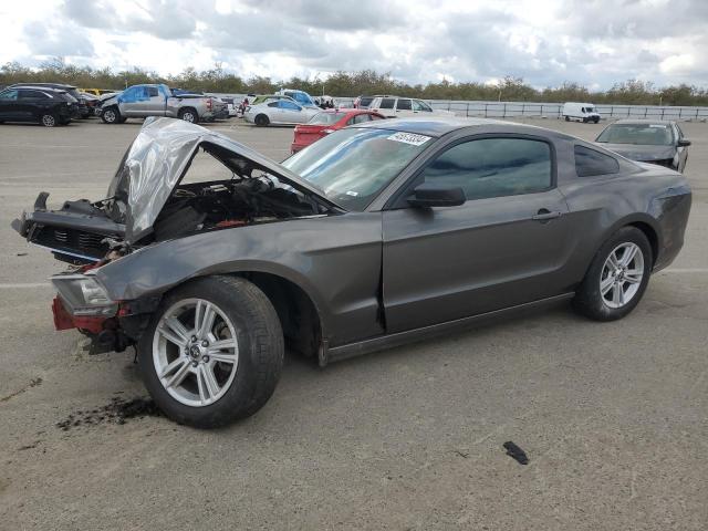 1ZVBP8AMXE5255248 - 2014 FORD MUSTANG GRAY photo 1