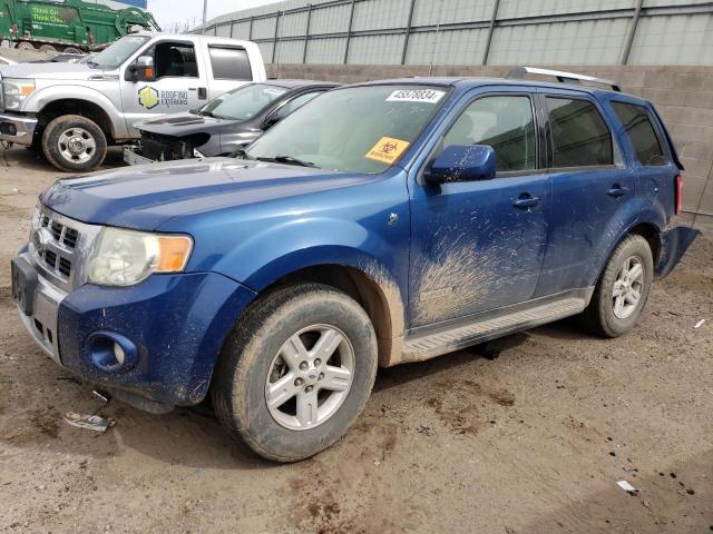 2008 FORD ESCAPE HEV, 