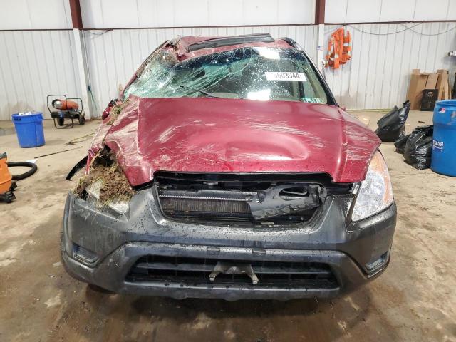 SHSRD78894U218548 - 2004 HONDA CR-V EX BURGUNDY photo 5