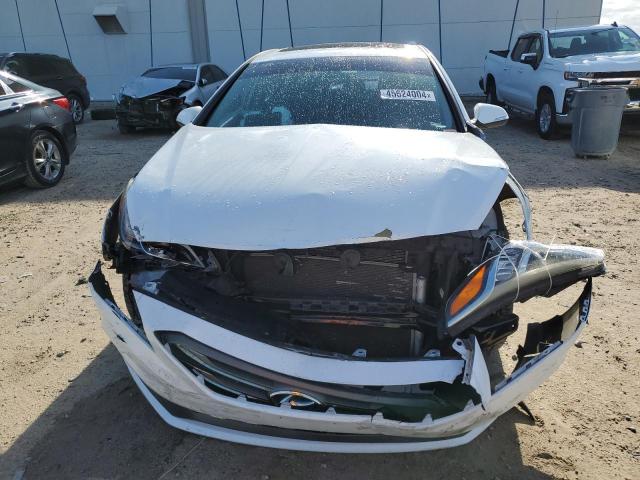 5NPE34AF3GH428200 - 2016 HYUNDAI SONATA SPORT WHITE photo 5