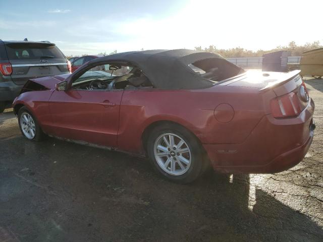 1ZVBP8EN1A5165029 - 2010 FORD MUSTANG MAROON photo 2