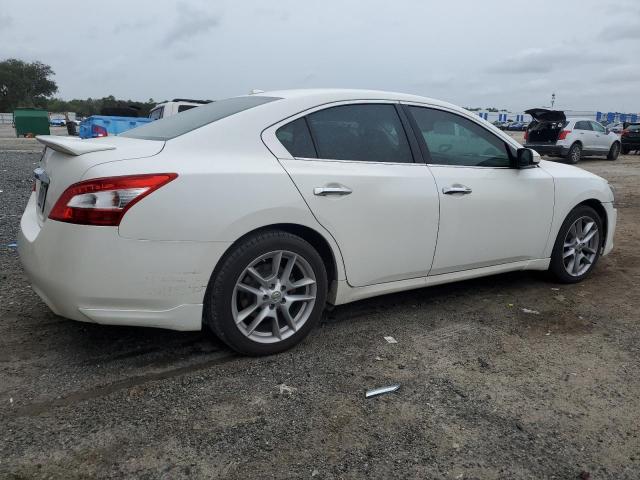 1N4AA5AP2AC868467 - 2010 NISSAN MAXIMA S WHITE photo 3