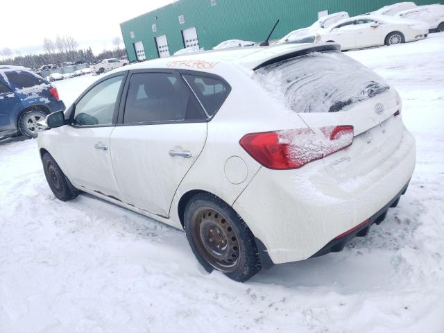 KNAFU5A21B5369657 - 2011 KIA FORTE EX WHITE photo 2