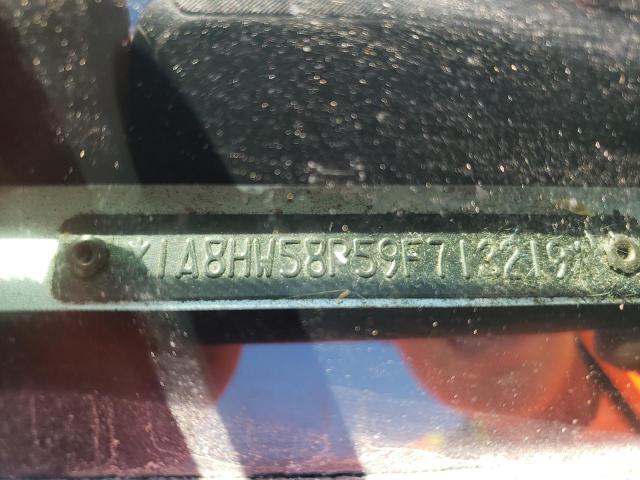 1A8HW58P59F713219 - 2009 CHRYSLER ASPEN LIMITED 银色 照片 13