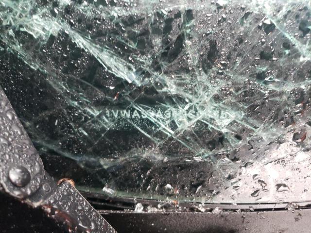 1VWAS7A35GC006530 - 2016 VOLKSWAGEN PASSAT S BLACK photo 13