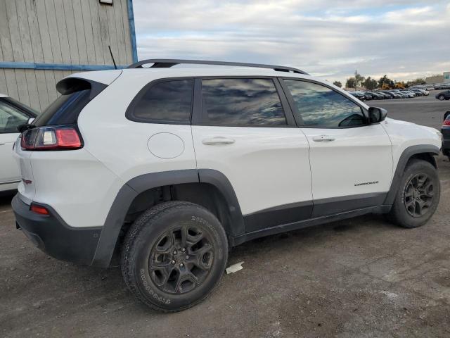 1C4PJMBX7KD360617 - 2019 JEEP CHEROKEE TRAILHAWK WHITE photo 3