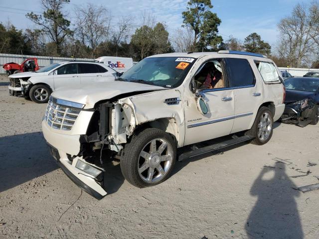 1GYUKCEF0AR151809 - 2010 CADILLAC ESCALADE PREMIUM WHITE photo 1