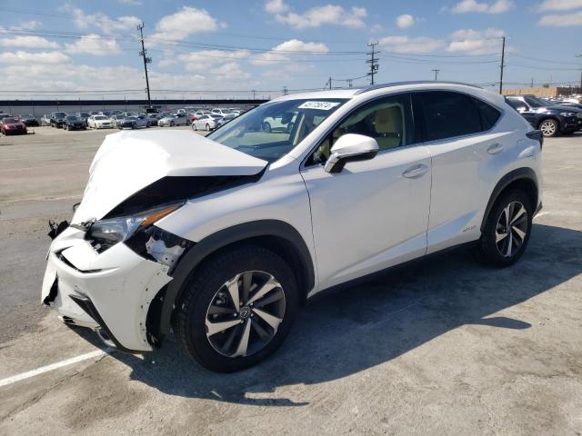 JTJGJRDZ6L5008083 - 2020 LEXUS NX 300H WHITE photo 1