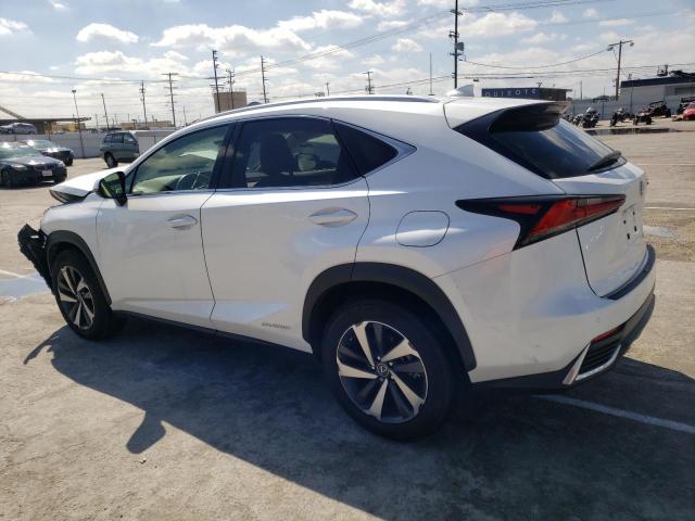 JTJGJRDZ6L5008083 - 2020 LEXUS NX 300H WHITE photo 2