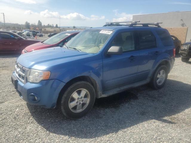 2009 FORD ESCAPE XLT, 