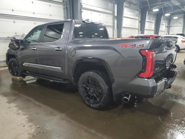 5TFMA5DB6RX134104 - 2024 TOYOTA TUNDRA CREWMAX PLATINUM ნაცრისფერი ფოტო 2