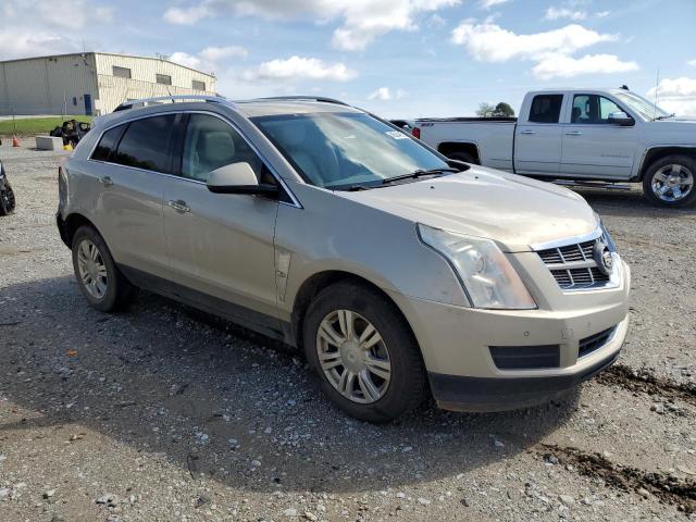 3GYFNAE30CS630323 - 2012 CADILLAC SRX LUXURY COLLECTION GOLD photo 4