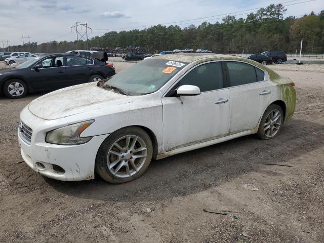 1N4AA5AP1AC816456 - 2010 NISSAN MAXIMA S WHITE photo 1