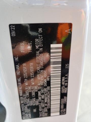 5TDHZRBH5NS247390 - 2022 TOYOTA HIGHLANDER XLE Blanco foto 13