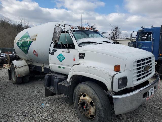 1GBM7H1C32J501163 - 2002 CHEVROLET C-SERIES C7H042 WHITE photo 9