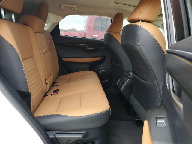 JTJGARBZXM5022587 - 2021 LEXUS NX 300 BASE Ağ foto 11