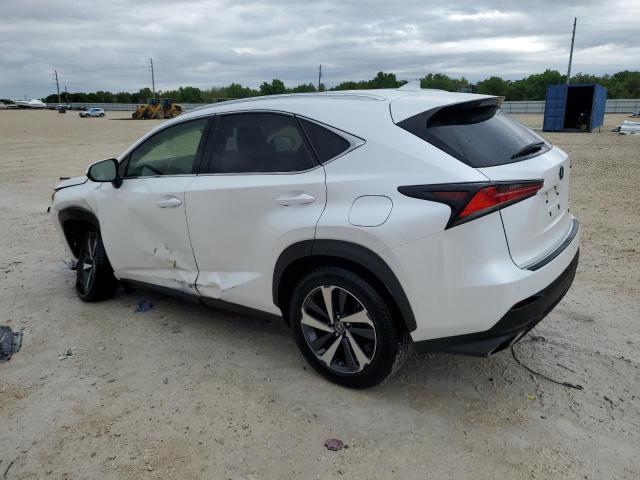 JTJGARBZXM5022587 - 2021 LEXUS NX 300 BASE Ağ foto 2