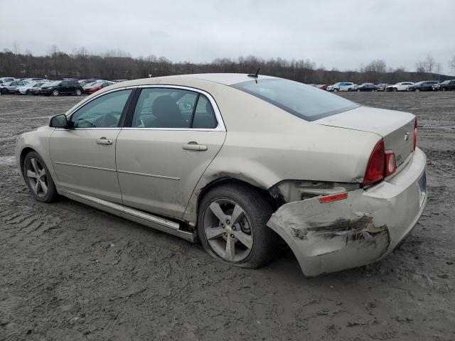 1G1ZC5EU9BF295535 - 2011 CHEVROLET MALIBU 1LT GOLD photo 2