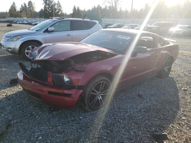 1ZVFT80N165147982 - 2006 FORD MUSTANG RED photo 1